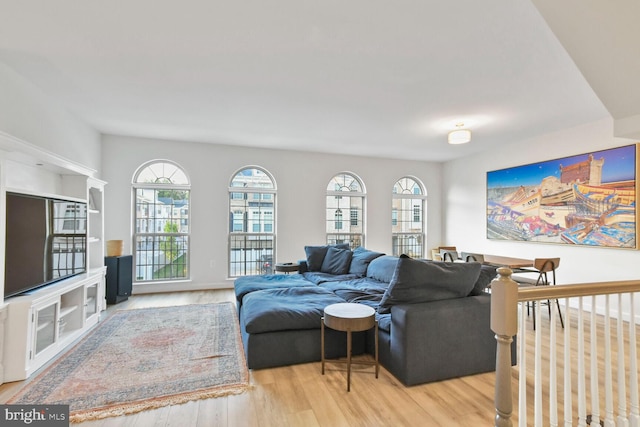 living room featuring a wealth of natural light and light hardwood / wood-style flooring