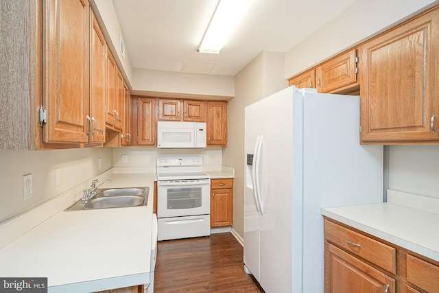 kitchen featuring dark hardwood / wood-style flooring, sink, and white appliances