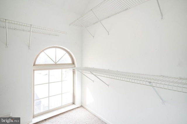 spacious closet with carpet floors