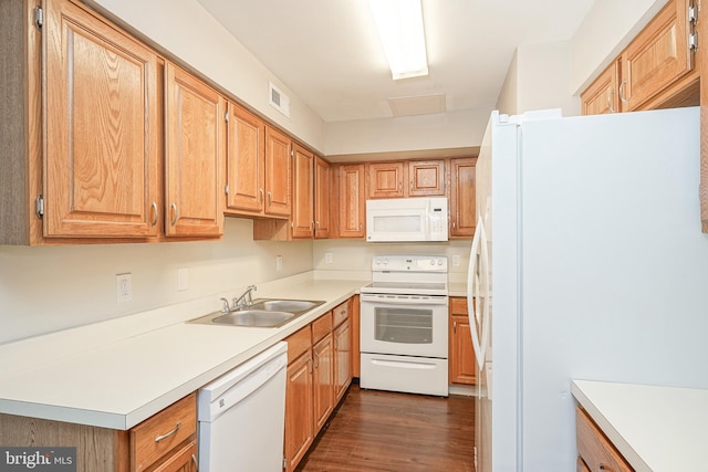 kitchen with dark hardwood / wood-style flooring, white appliances, and sink