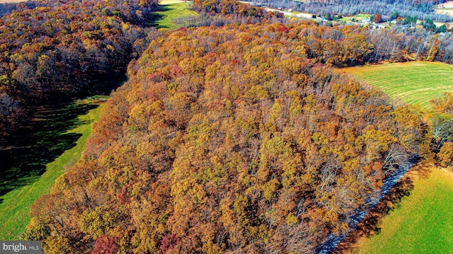 14597 Pin Oak Ln, Etters, PA 17319