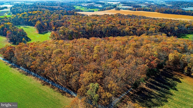 14597 Pin Oak Ln, Etters, PA 17319