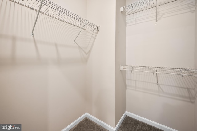 spacious closet with carpet flooring