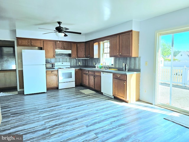 kitchen featuring tasteful backsplash, wood-type flooring, sink, white appliances, and ceiling fan