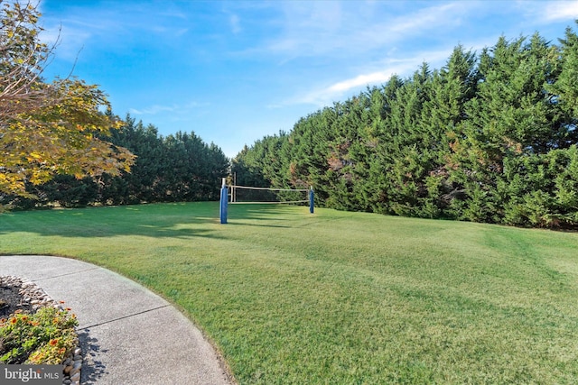 view of community with a yard and volleyball court