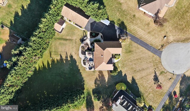 bird's eye view