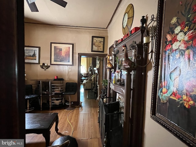 hallway with ornamental molding and light wood-type flooring