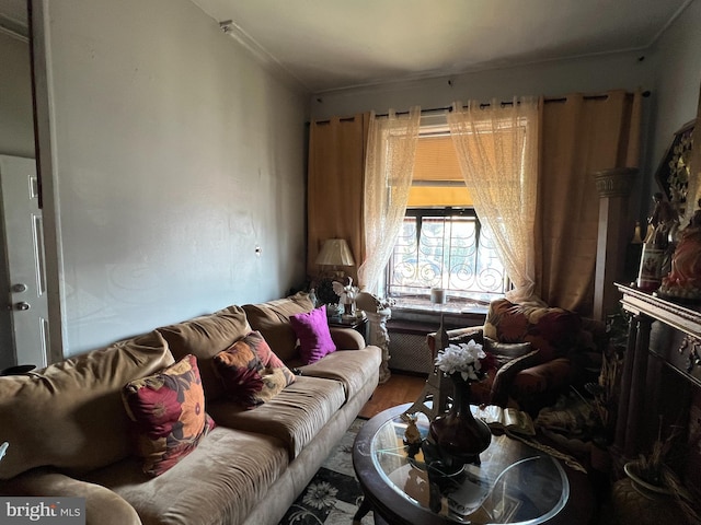 living room featuring hardwood / wood-style flooring and crown molding