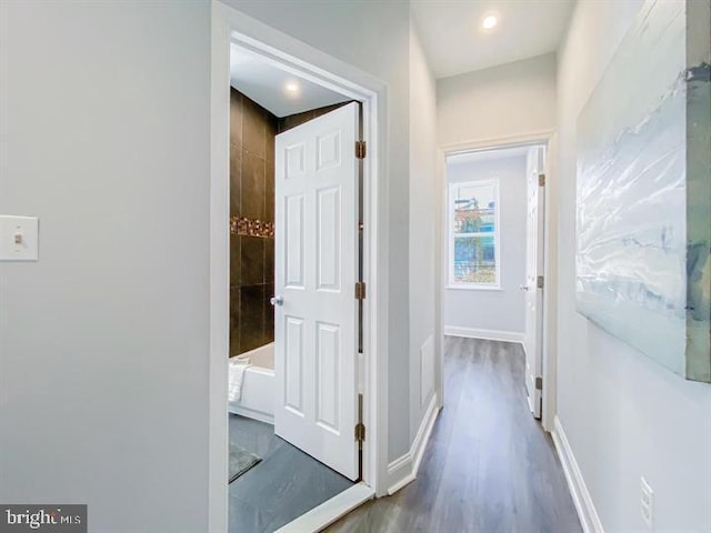 hall featuring dark hardwood / wood-style flooring