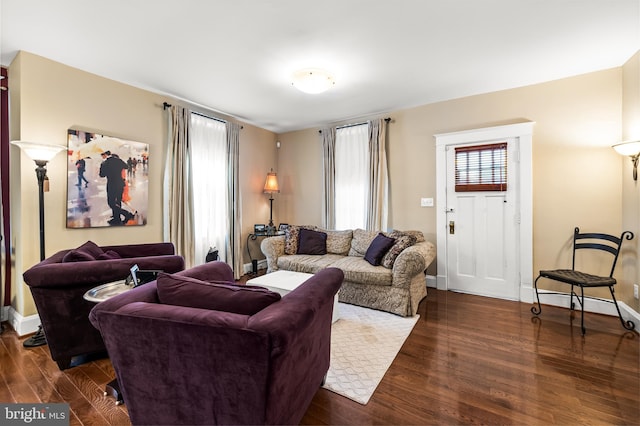 living room with dark wood-type flooring