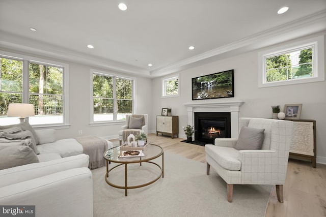 living room with a healthy amount of sunlight, light wood-type flooring, and ornamental molding