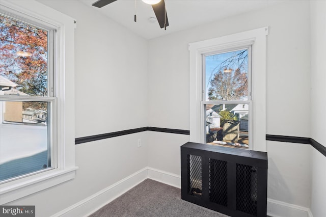 interior space featuring carpet flooring and ceiling fan