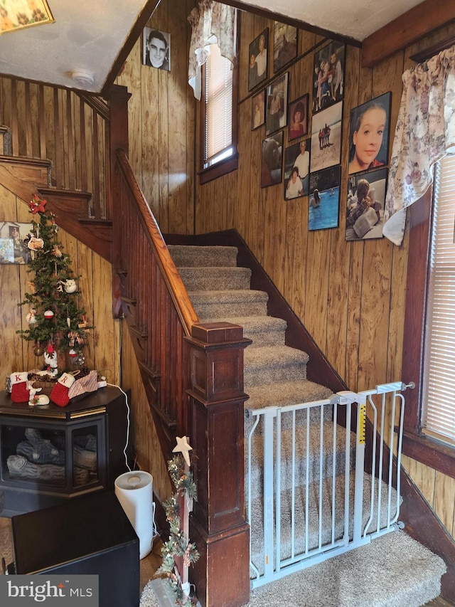 stairway with wooden walls and hardwood / wood-style floors