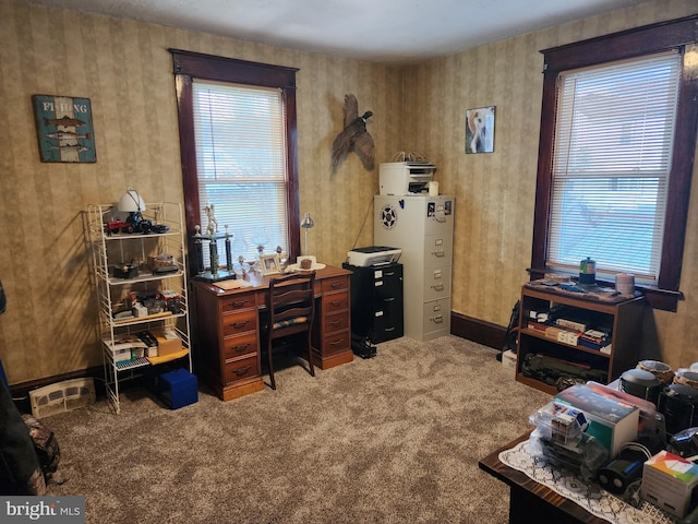 carpeted home office with a healthy amount of sunlight