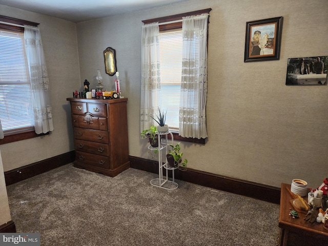 sitting room with carpet floors