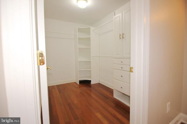 spacious closet with dark hardwood / wood-style flooring