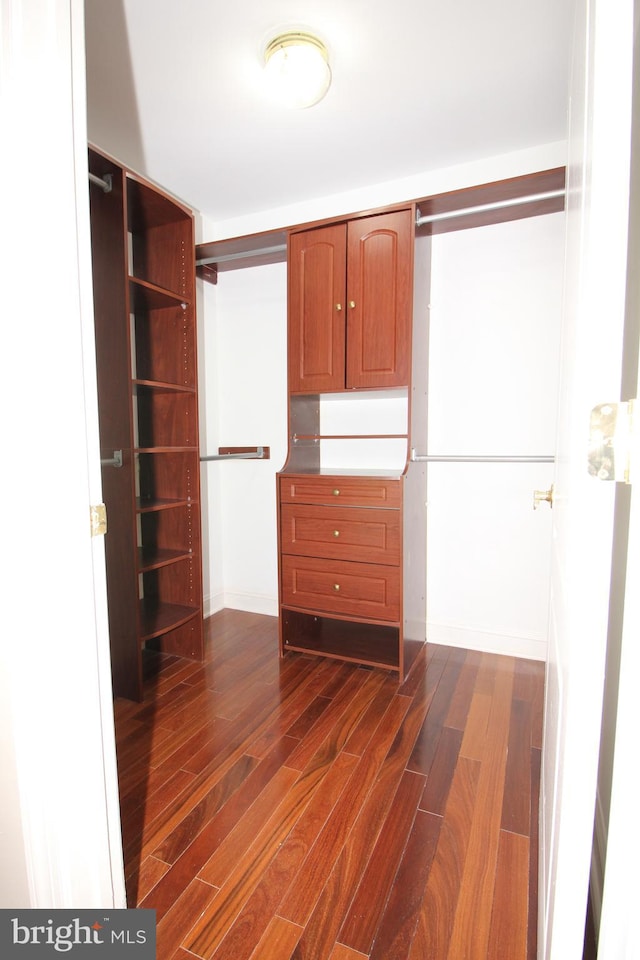 spacious closet with dark hardwood / wood-style floors