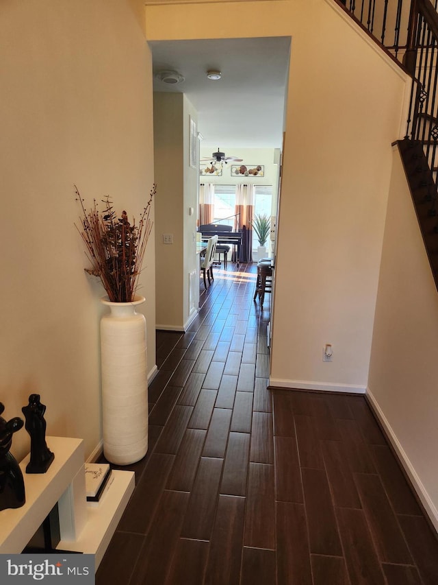 corridor featuring dark hardwood / wood-style flooring