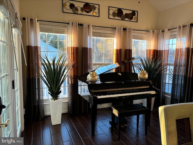 misc room featuring plenty of natural light and vaulted ceiling