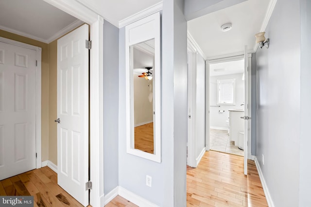 hallway featuring ornamental molding and light hardwood / wood-style flooring