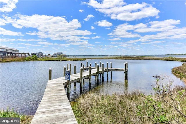 dock area featuring a water view