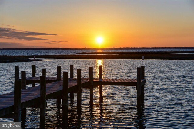 dock area featuring a water view