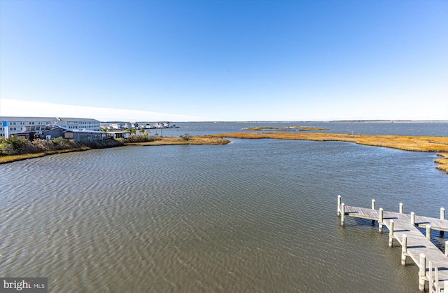 exterior space with a dock