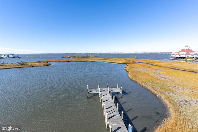 dock area with a water view