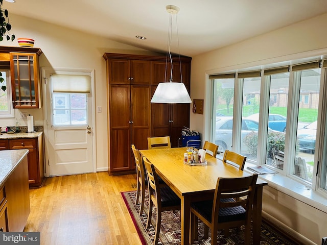 dining room featuring light wood-type flooring and a wealth of natural light