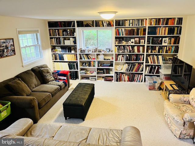 sitting room with carpet and a wealth of natural light