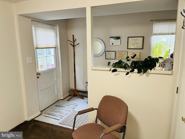 doorway to outside with dark colored carpet, a baseboard radiator, and a healthy amount of sunlight