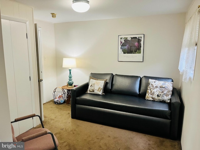 living room featuring carpet floors