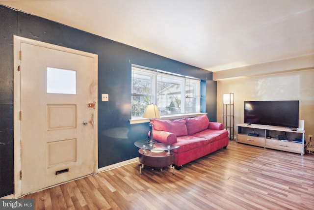 living room with light hardwood / wood-style floors