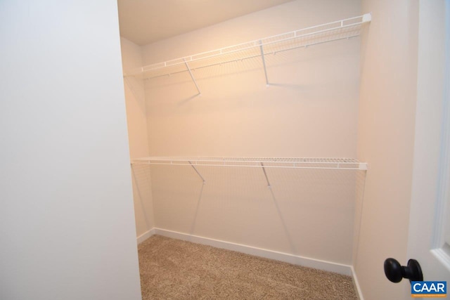 spacious closet with carpet