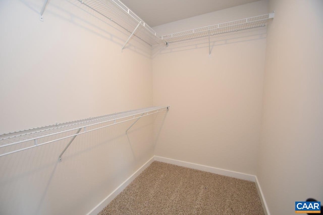 walk in closet featuring carpet