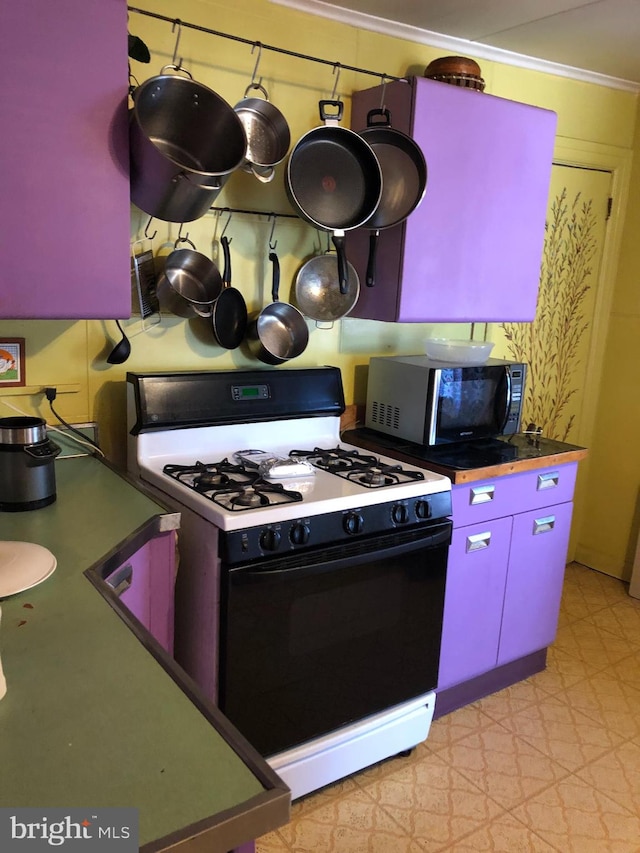 kitchen with crown molding and gas range gas stove