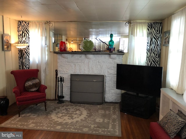 living room featuring a fireplace and wood-type flooring