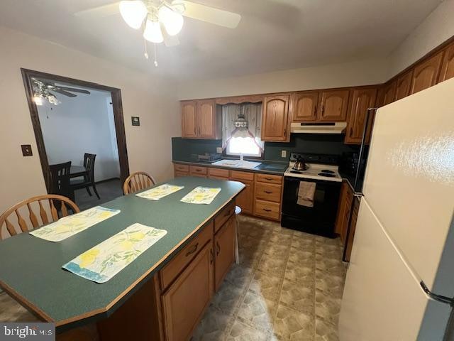 kitchen featuring ceiling fan, sink, and white appliances