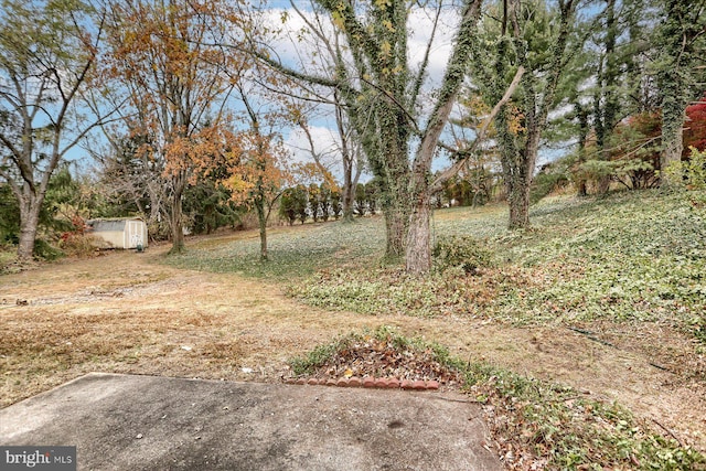 view of yard featuring a storage unit