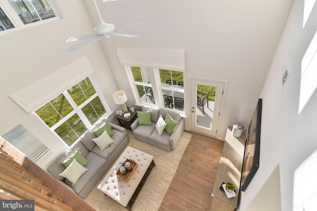 living room with hardwood / wood-style floors, a high ceiling, and ceiling fan