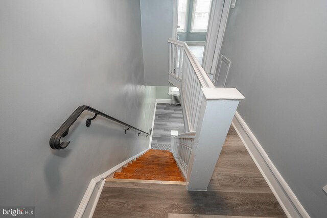 stairs featuring wood-type flooring