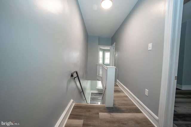 stairs with wood-type flooring