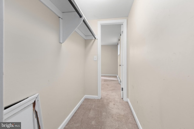 walk in closet with light carpet