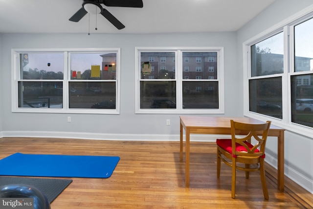 workout room with ceiling fan and wood-type flooring