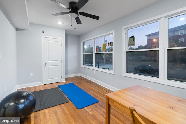 exercise room featuring hardwood / wood-style floors and ceiling fan