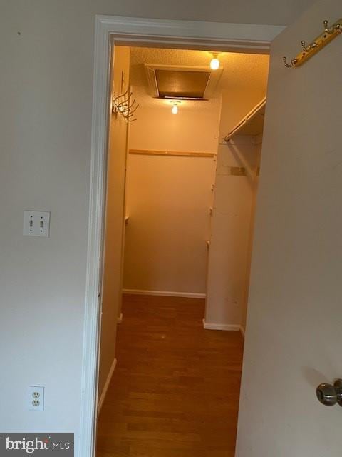 walk in closet featuring hardwood / wood-style floors