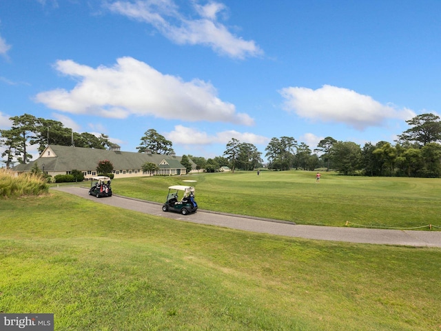 view of property's community with a yard