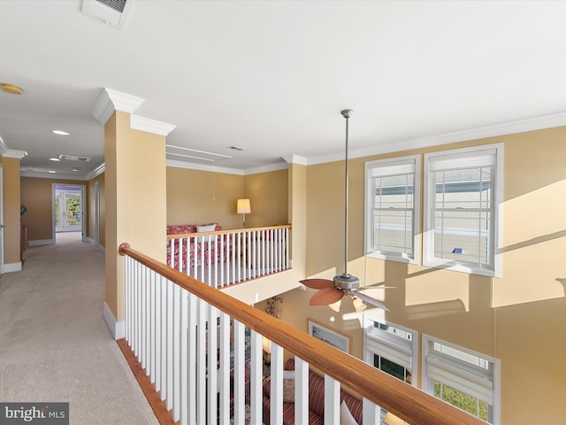 hallway with crown molding and carpet flooring