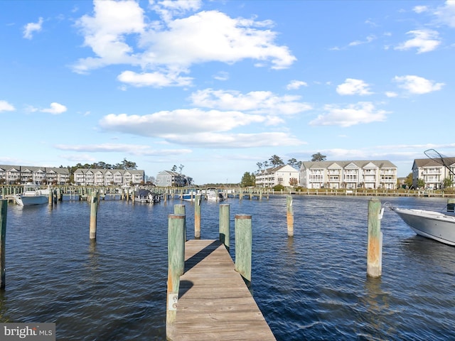 dock area with a water view