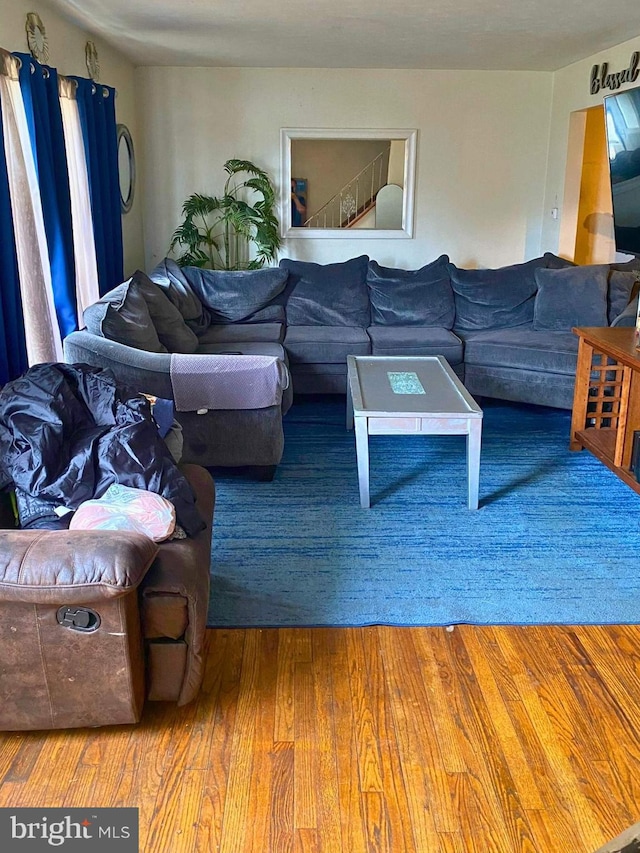 living room featuring wood-type flooring